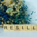 Resilience in Distributed Systems: Retry Patterns That Actually Work